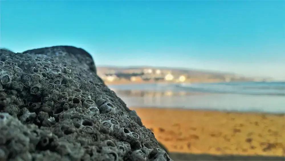 Baya House Sea View Apartment Agadir Ngoại thất bức ảnh
